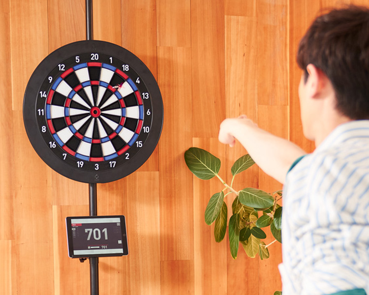 Board, DARTSLIVE Home