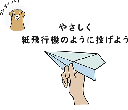 やさしく紙飛行機のように投げよう