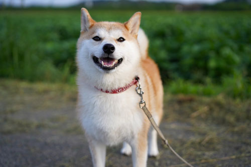 例1