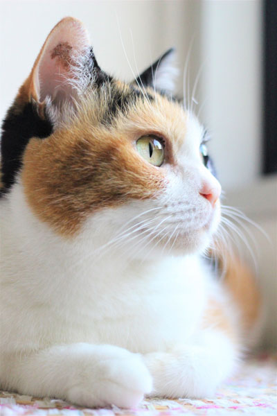 例7