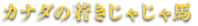 カナダの若きじゃじゃ馬