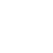 THE WORLD 2017